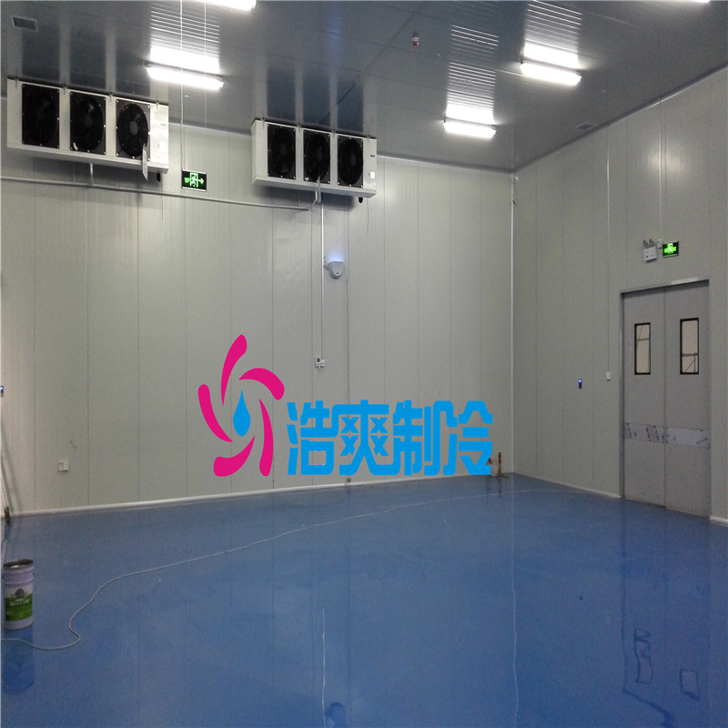 建設(shè)大型醫(yī)用冷藏庫需要的費(fèi)用價(jià)格是多少？