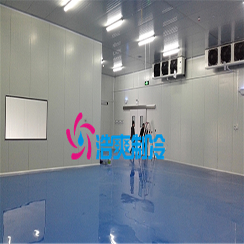 建設(shè)大型醫(yī)用冷藏庫需要的費(fèi)用價(jià)格是多少？