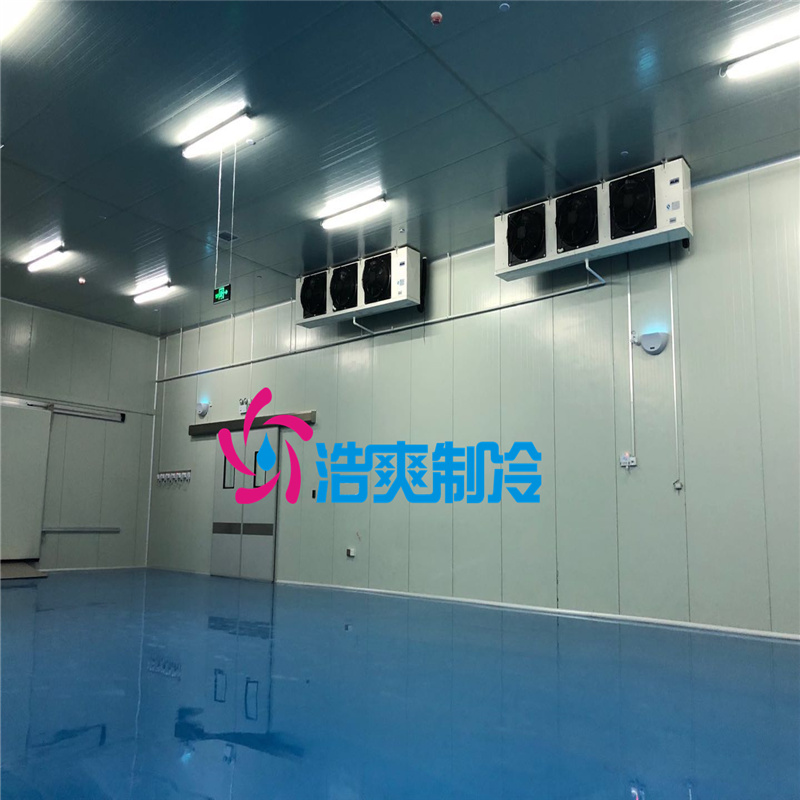 建造大型醫療冷藏庫所需要的費用價格是多少？