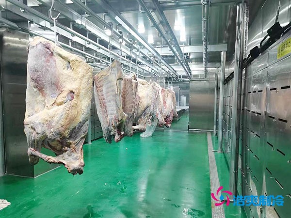 建造一個肉類排酸冷庫安裝造價成本大概多少錢？