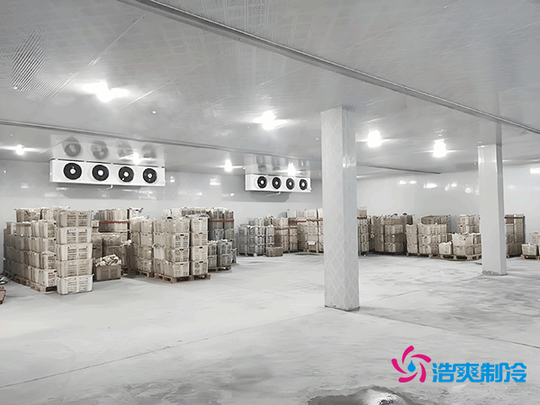 低溫冷凍庫造價(jià)指南,如何精準(zhǔn)預(yù)算冷凍庫建造成本?