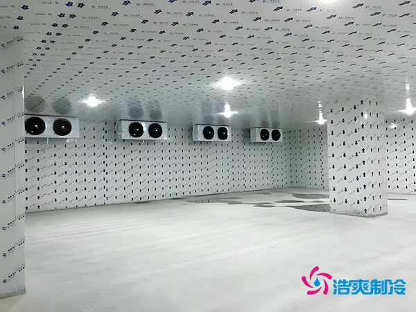 100平方冷凍庫設計安裝造價多少錢?