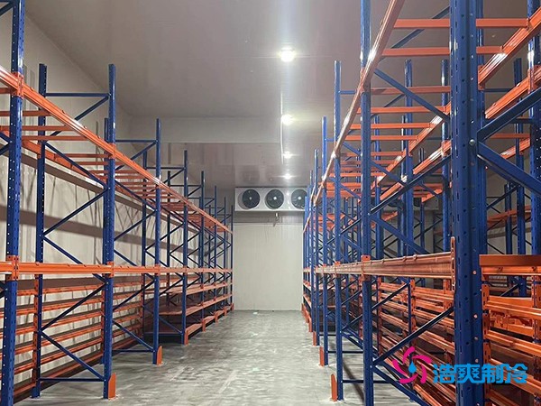 建中型冷庫要花多少錢？這些關鍵因素你必須知道-浩爽制冷