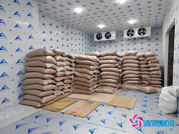 2萬(wàn)起建種子冷庫(kù)？這些因素讓造價(jià)翻倍！
