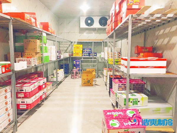 5噸水果需要多大冷庫？答案出乎意料！