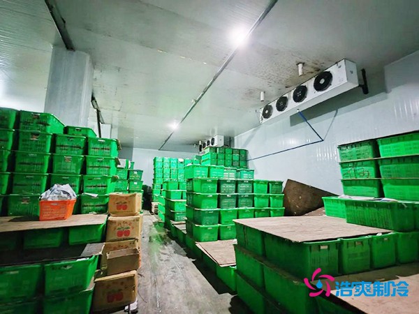水果保鮮冷庫建造價格每平米多少錢？
