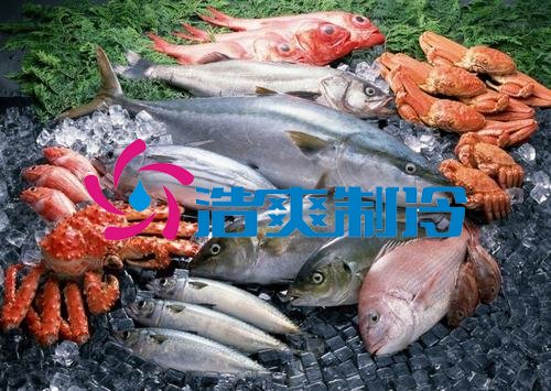 浩爽制冷，海鮮冷凍庫、食品冷凍庫
